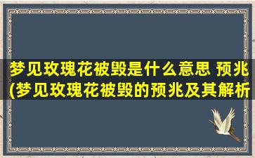 梦见玫瑰花被毁是什么意思 预兆(梦见玫瑰花被毁的预兆及其解析)